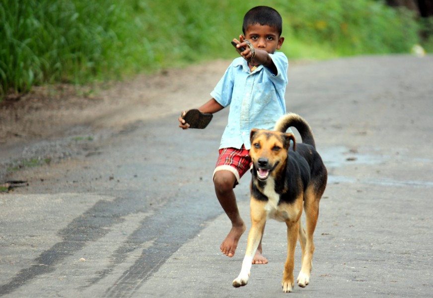 A boy and a dog