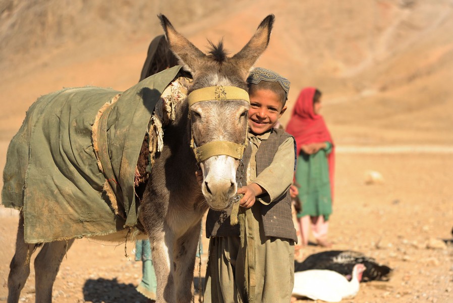A boy stands in line to get his animal veterinary care from medics with coalition special operations forces in the Gizab district of Uruzgan province, Afghanistan, Nov. 30, 2011 111130-N-UD522-271