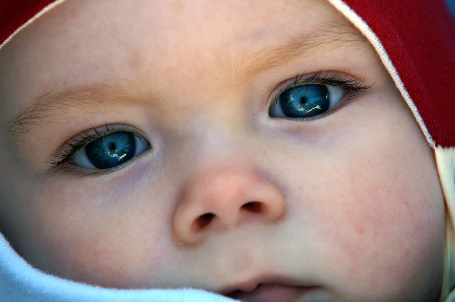 Close-up photograph of a male baby (4584204357)
