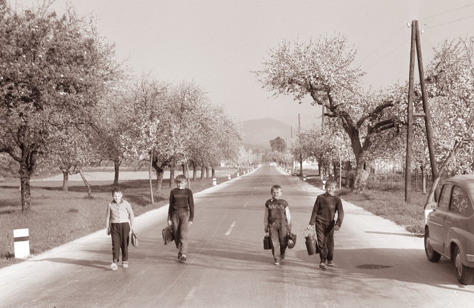 Otroci na poti v šolo 1961