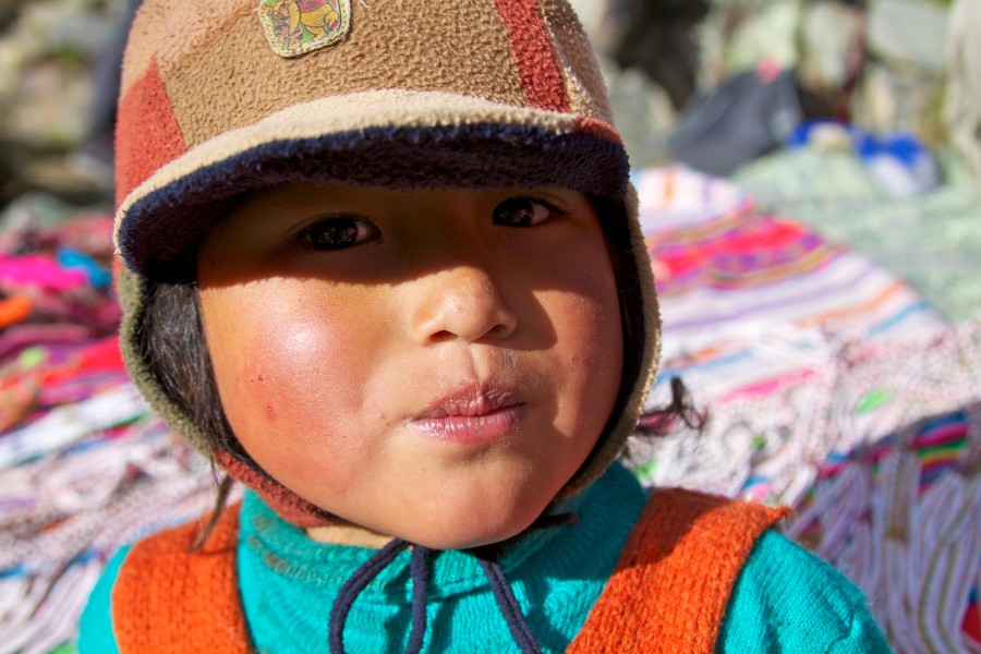 Peru - Salkantay Trek 034 - curious Quechua boy (7339790304)