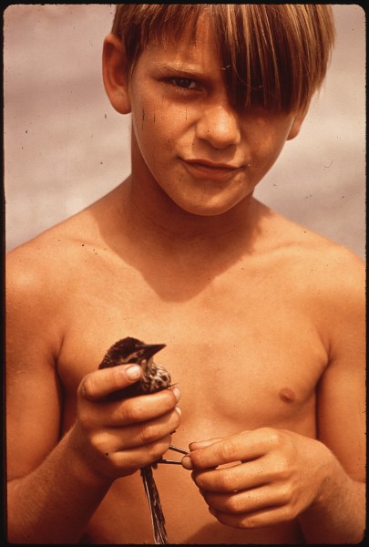THIS FISHERMAN'S SON LIVES IN BAYOU GAUCHE, DEEP IN THE WETLANDS OF LOUISIANA - NARA - 544222
