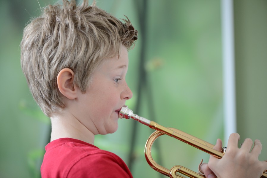 Trompeten Böhringer