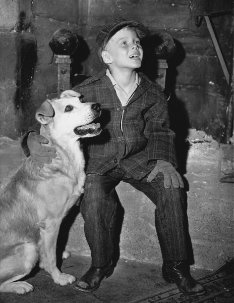 Wanted Dead or Alive Jay North 1958
