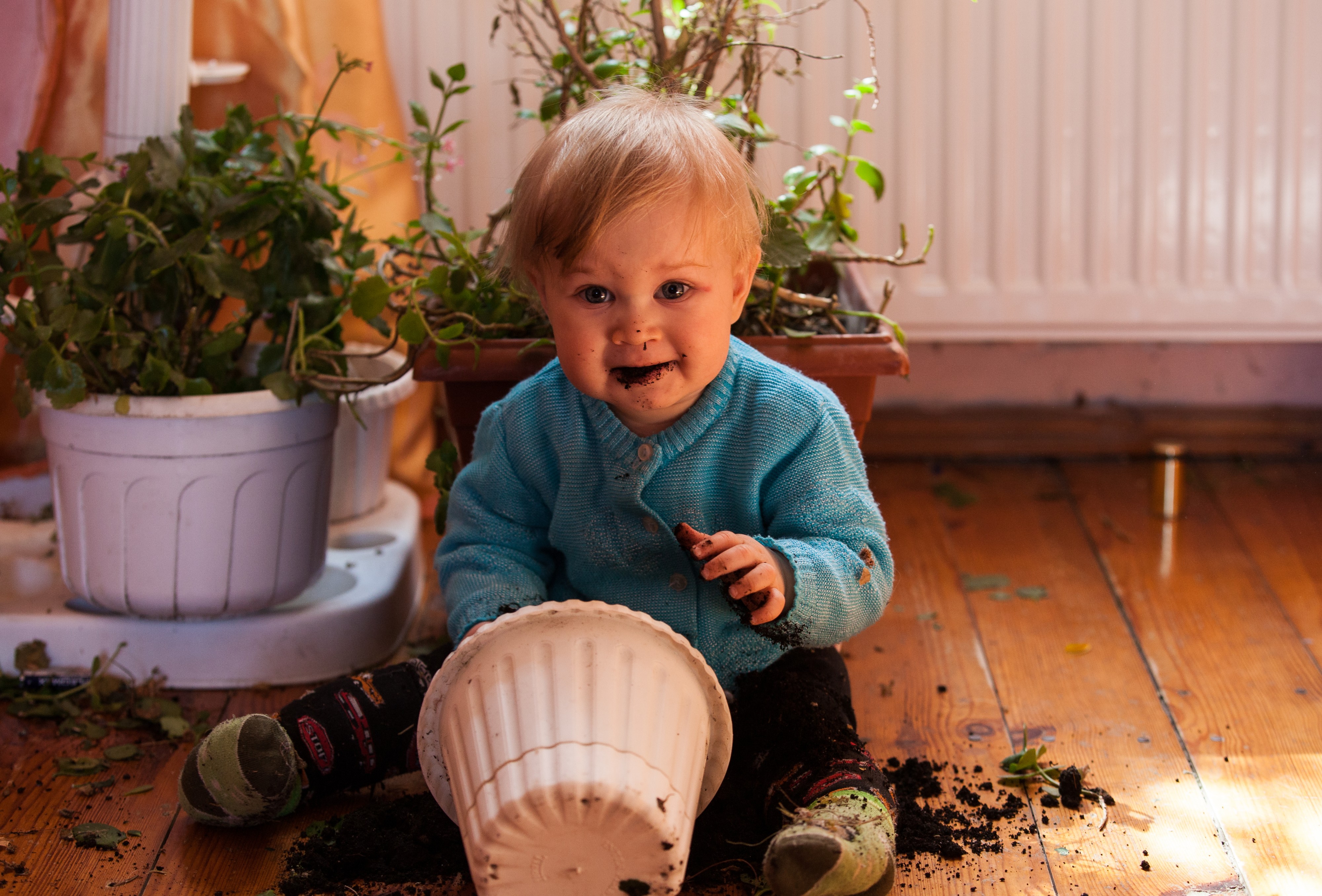 a 9-month-old boy tasting soil in March 2014