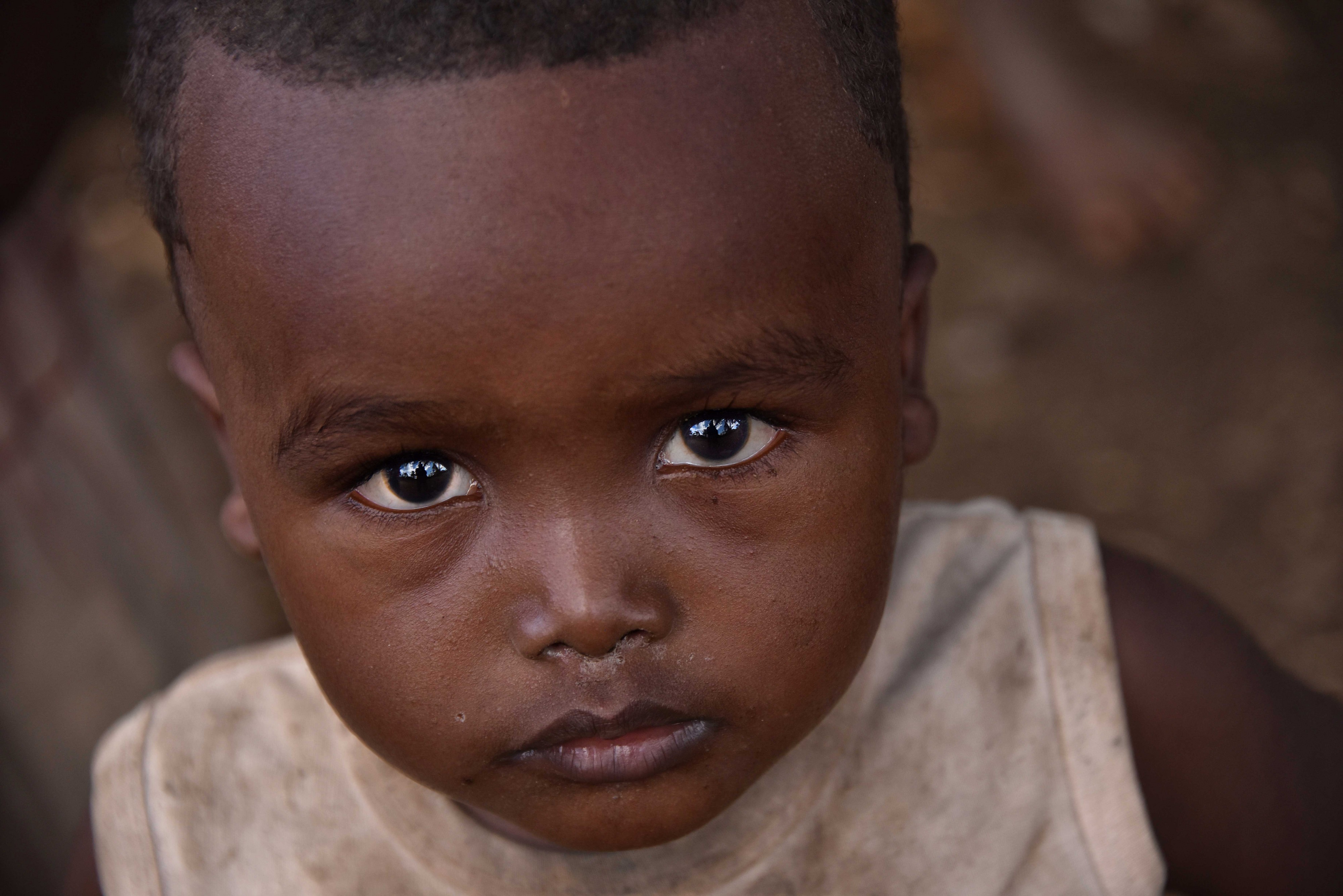 Little Boy, Madagascar (22290682922)