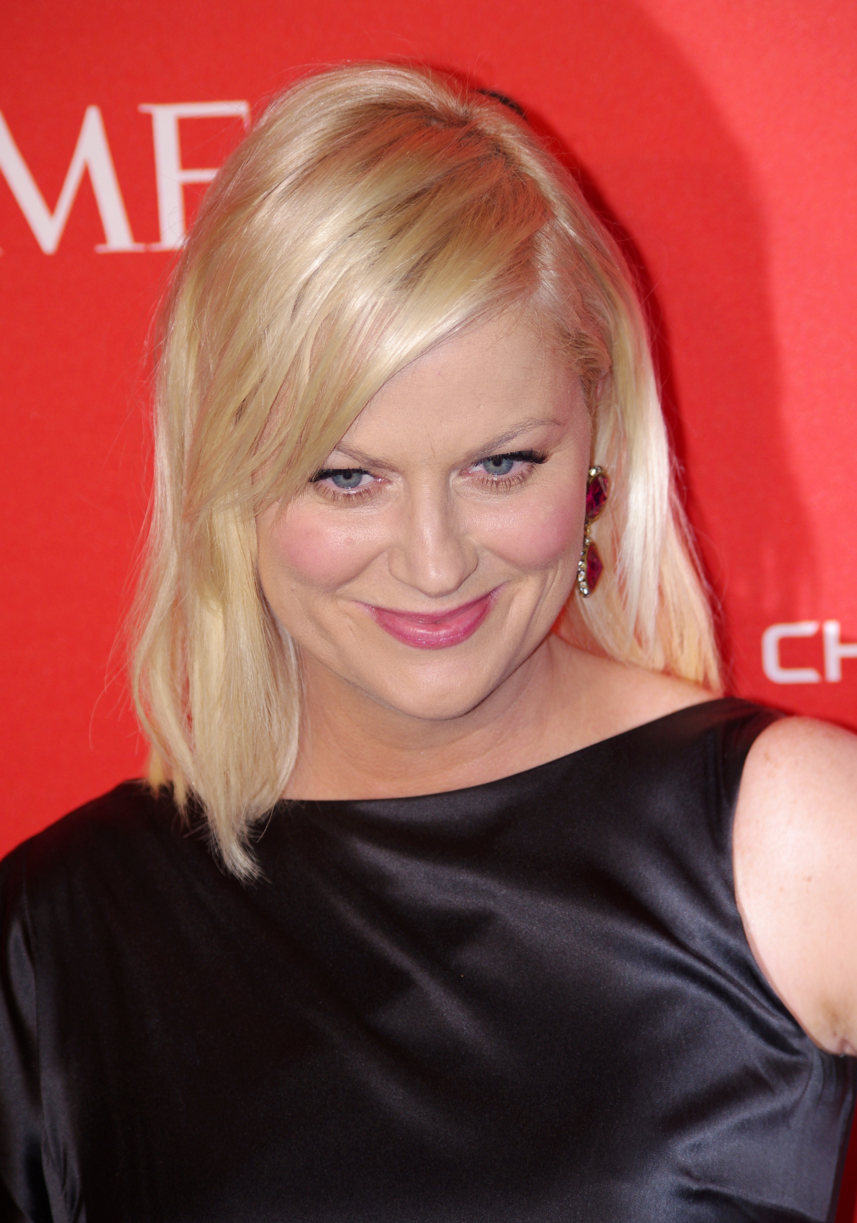Amy Poehler 2011 Shankbone 4