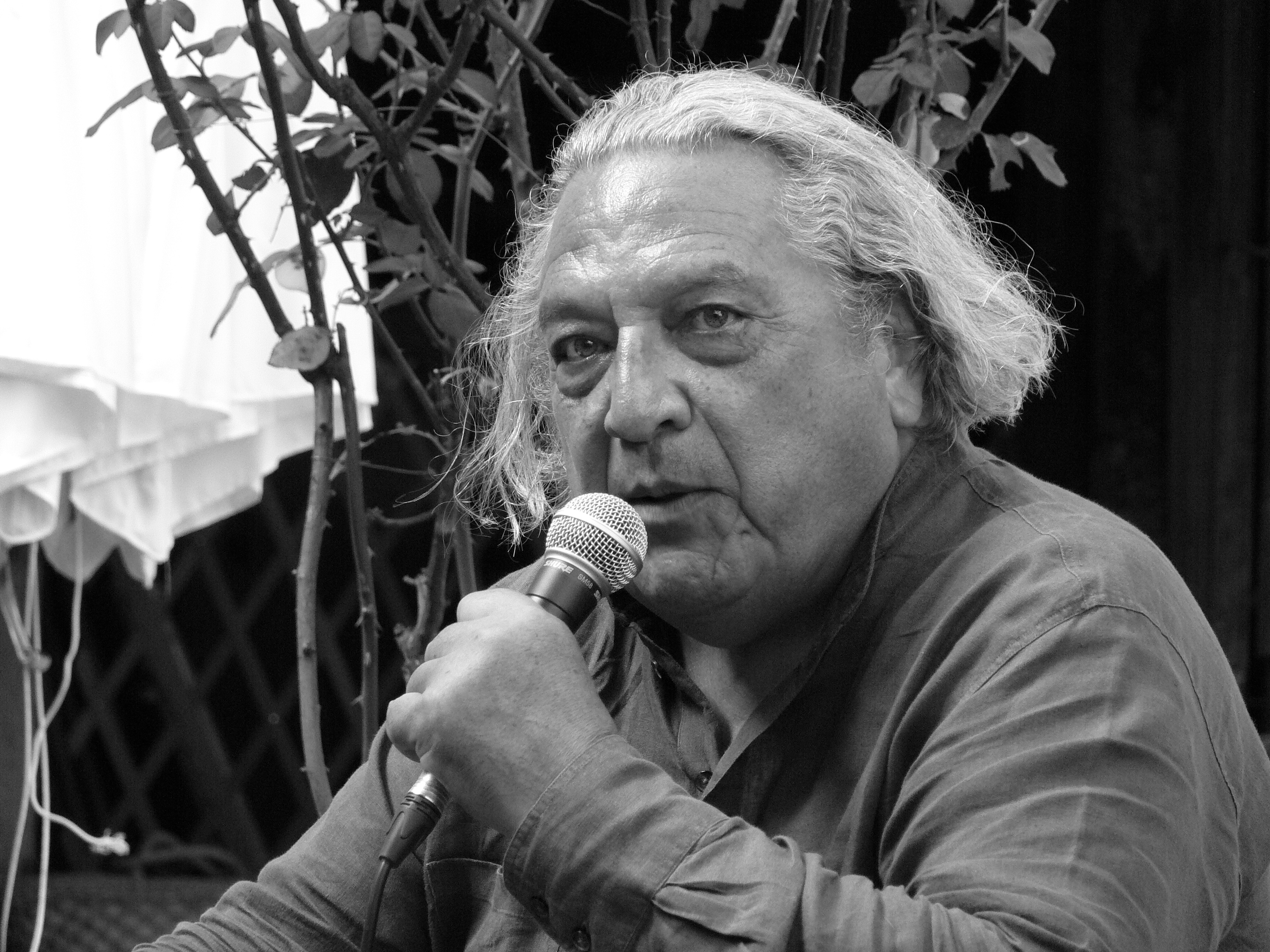 Luismizon sete20100729