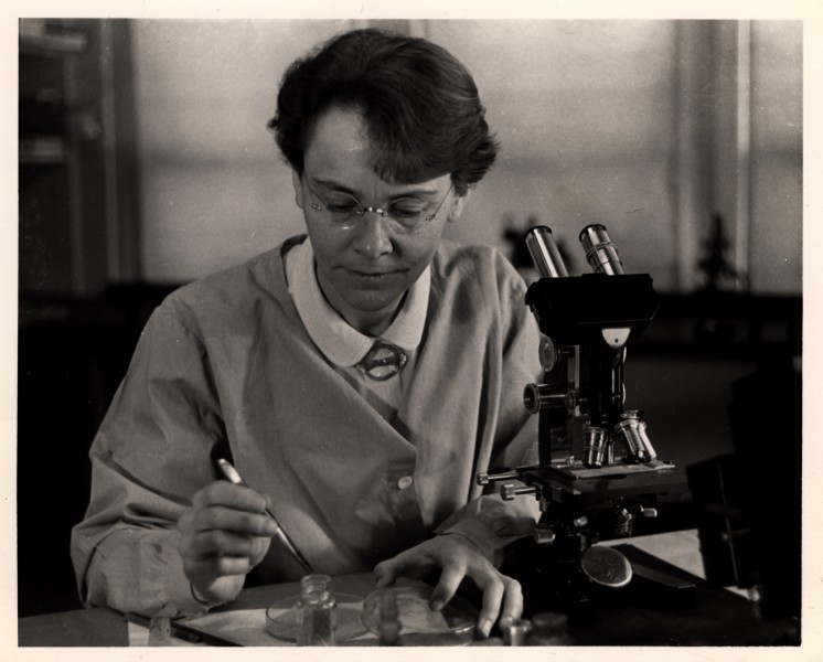 Barbara McClintock at C.S.H. 1947