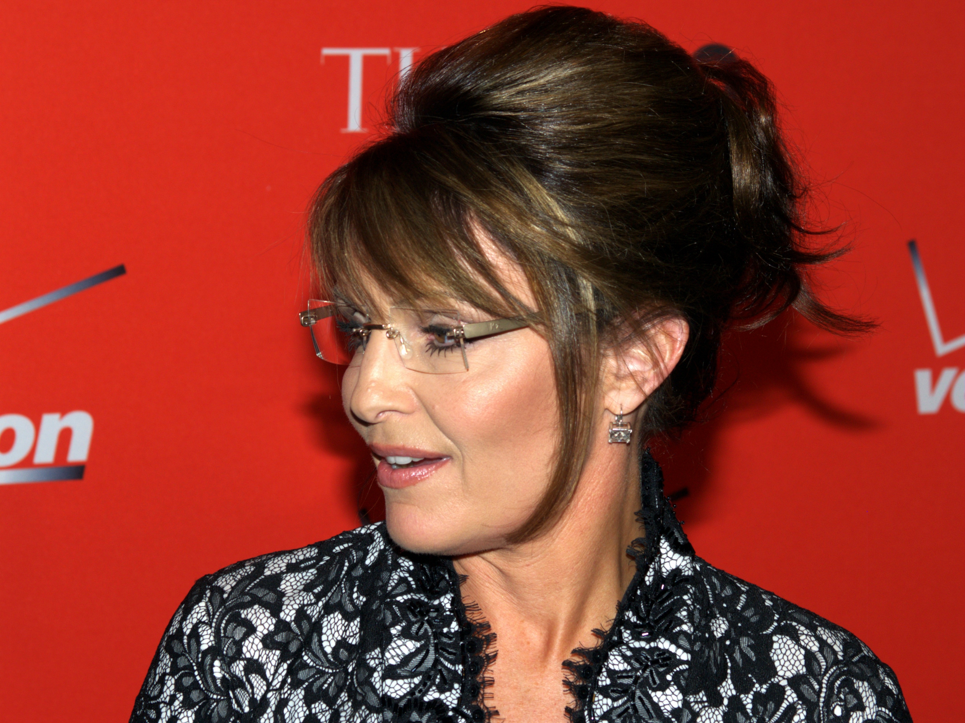 Sarah Palin profile 2010 Shankbone