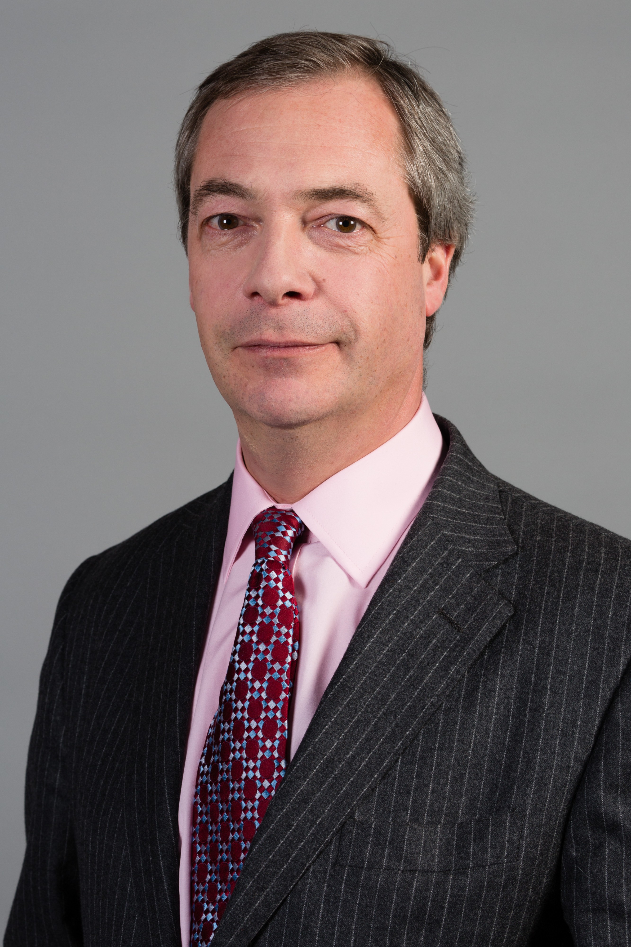 Nigel Farage MEP 1, Strasbourg - Diliff