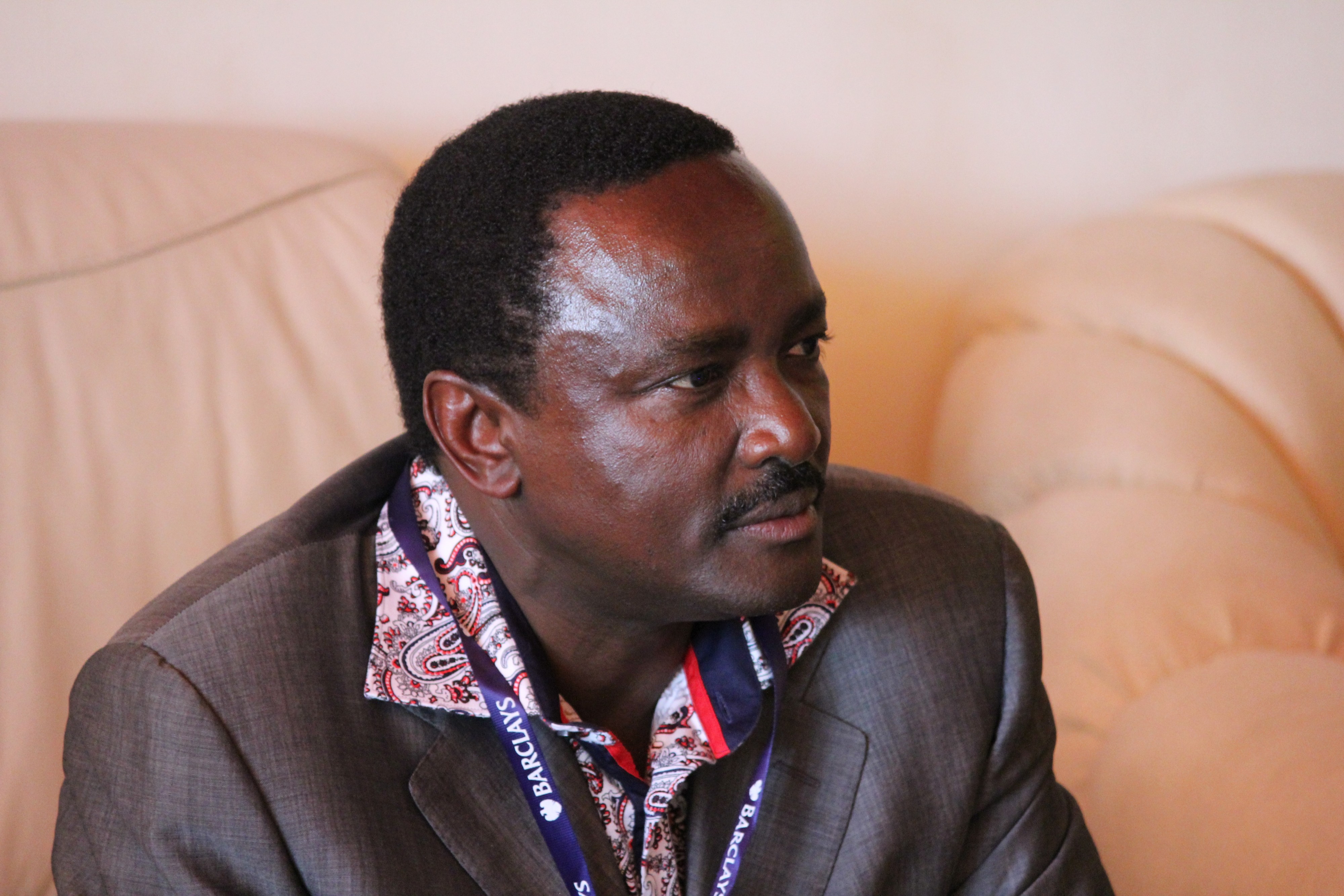 Stephen Kalonzo Musyoka (Kenyan Vice President)