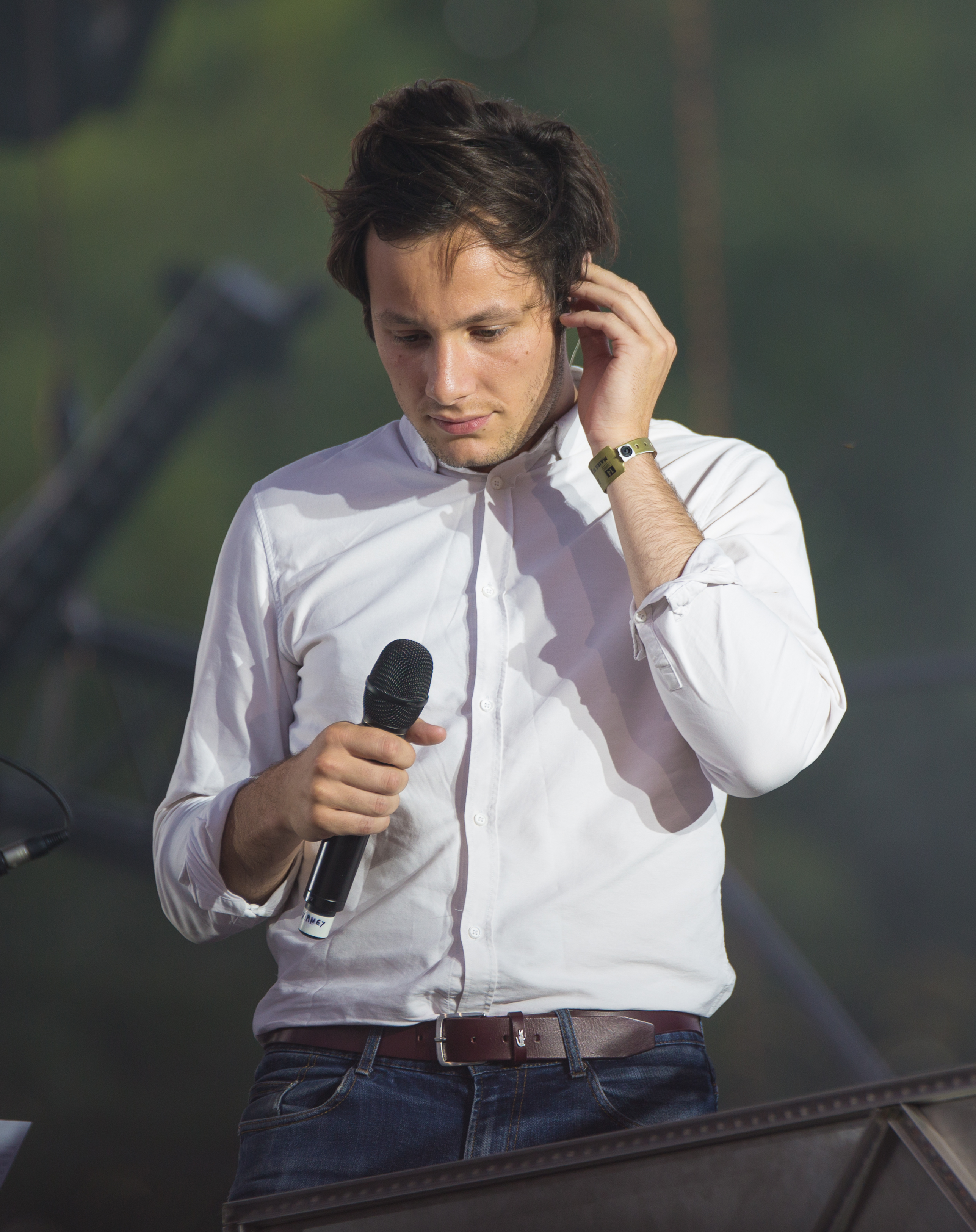 Toulouse, concert 14 Juillet 2015, Cats on Trees-1859