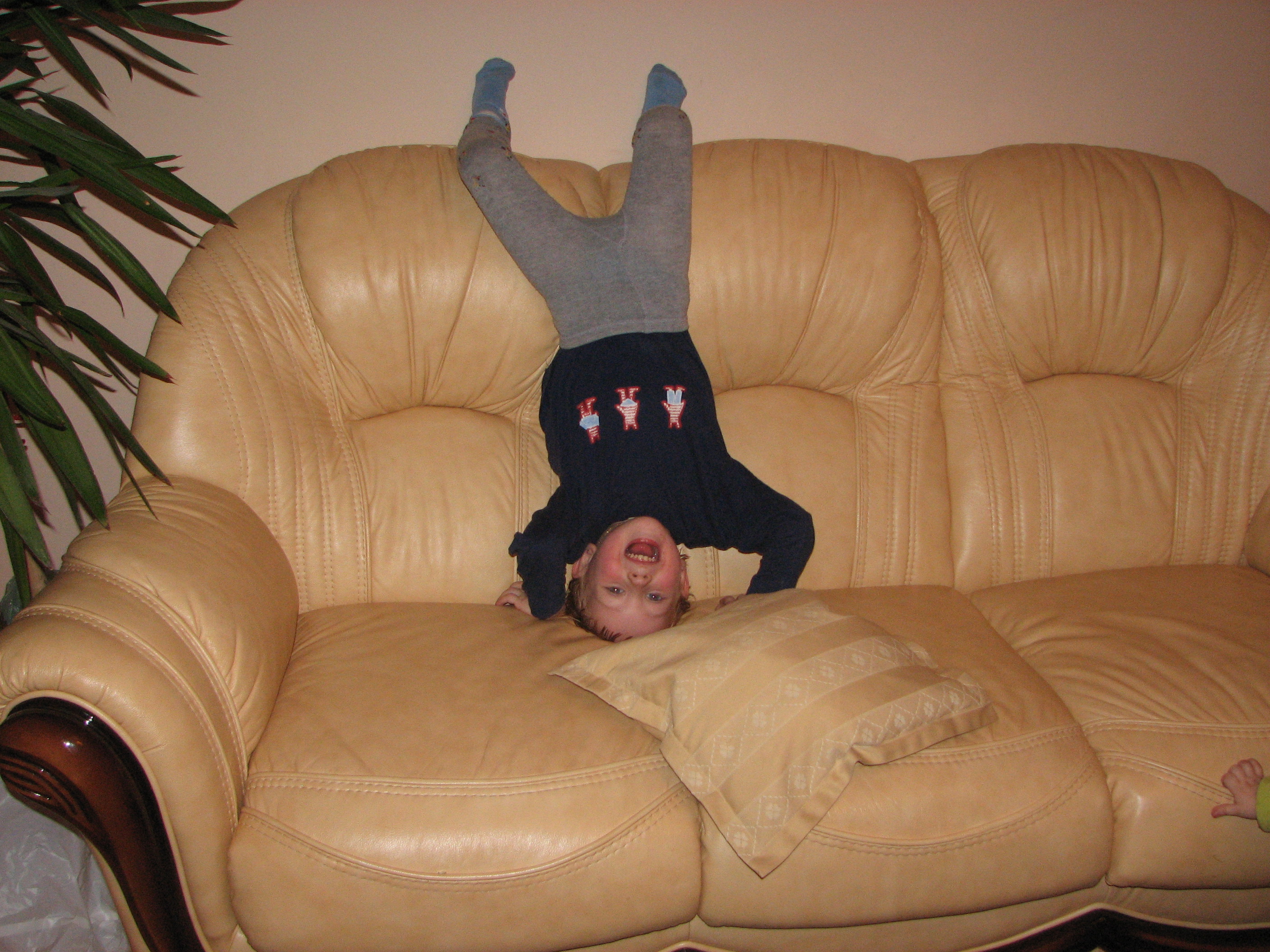 A small boy standing on his head on a leather sofa