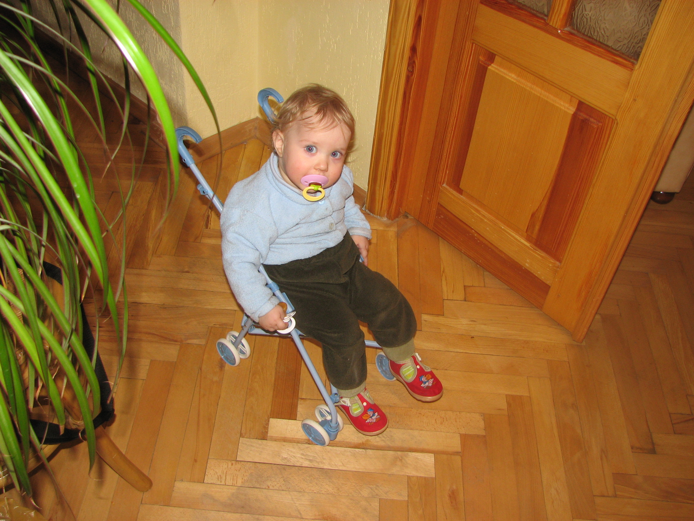 A baby kid girl, picture 038