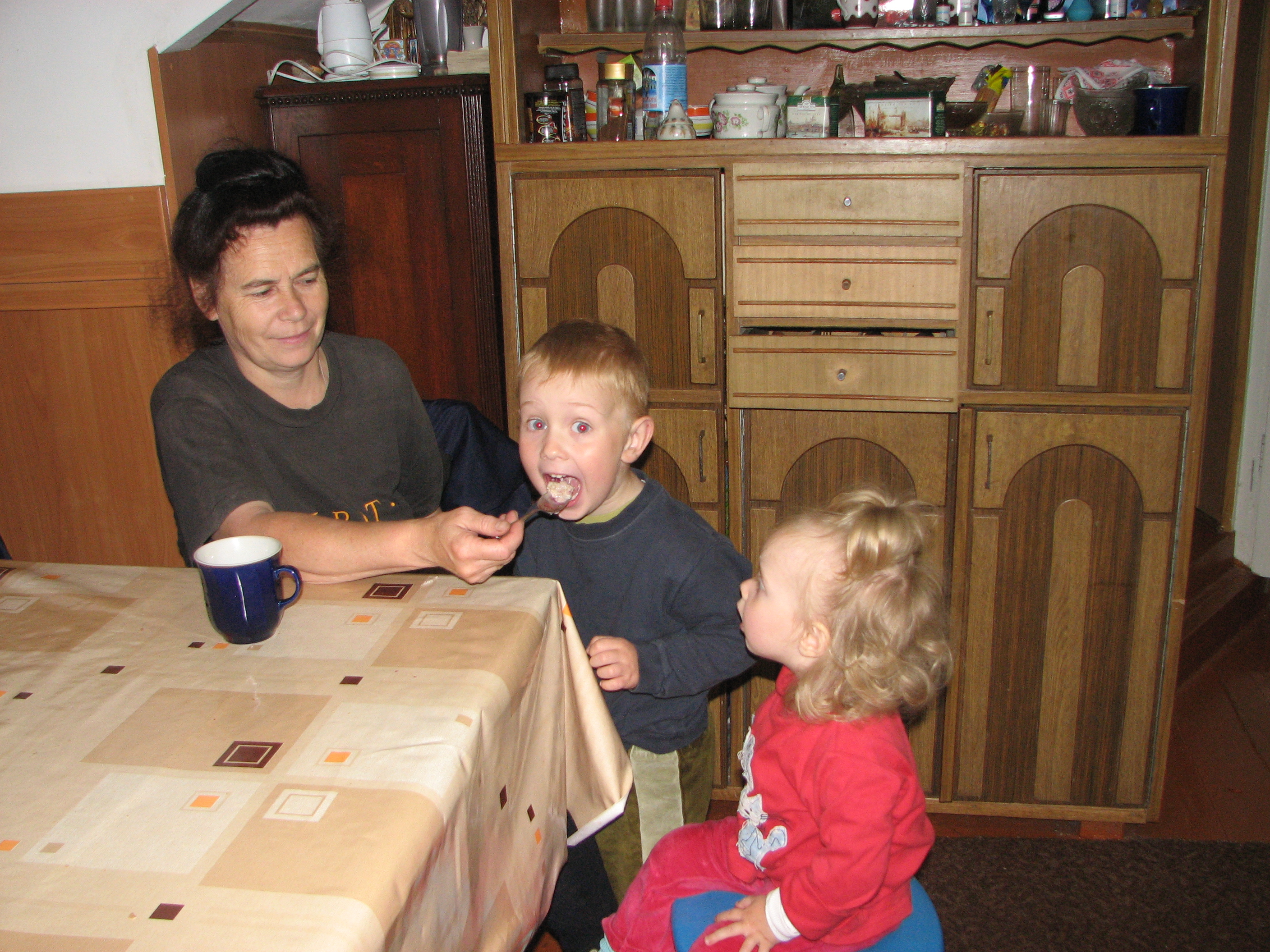 Grandmother is feeding her small grandchildren, picture 1