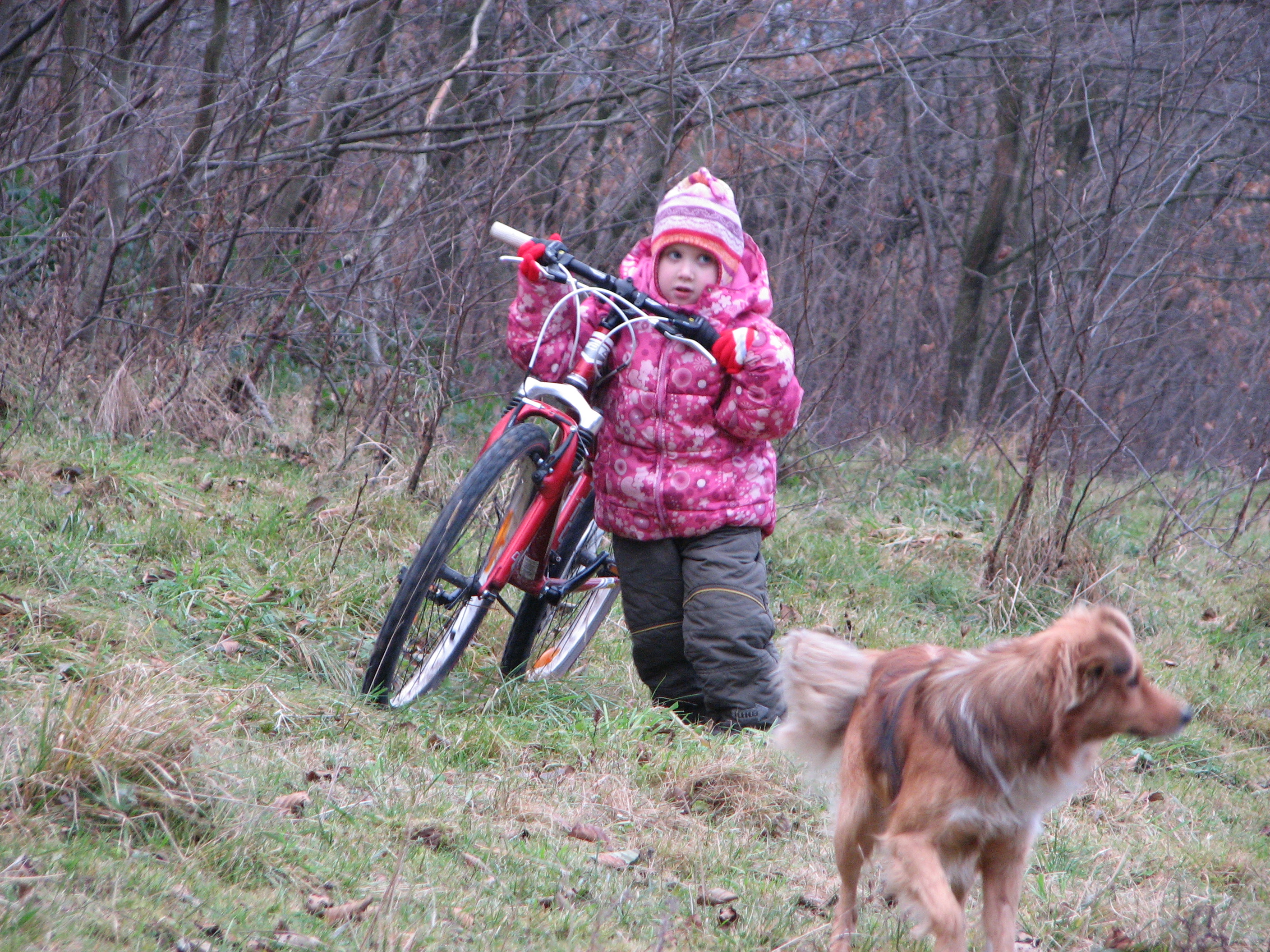 A small girl with a big bike