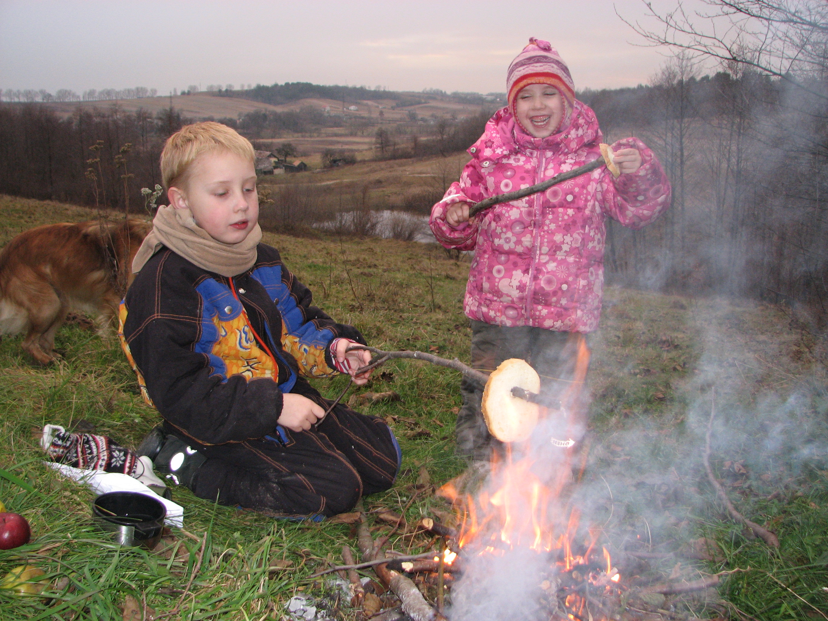 A small boy and a small girl making toasts from bread near fire, picture 2