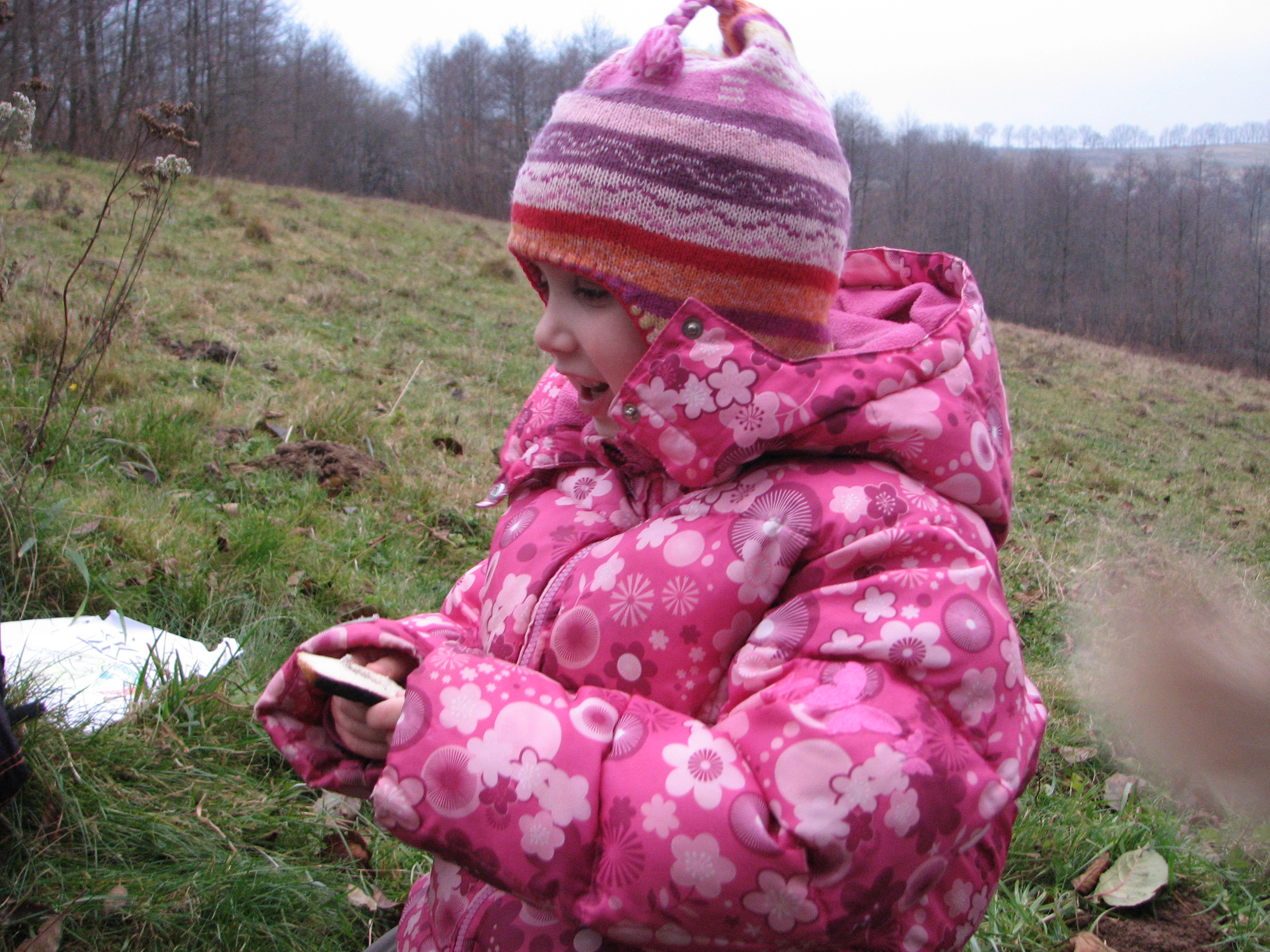 A small girl on a picnic