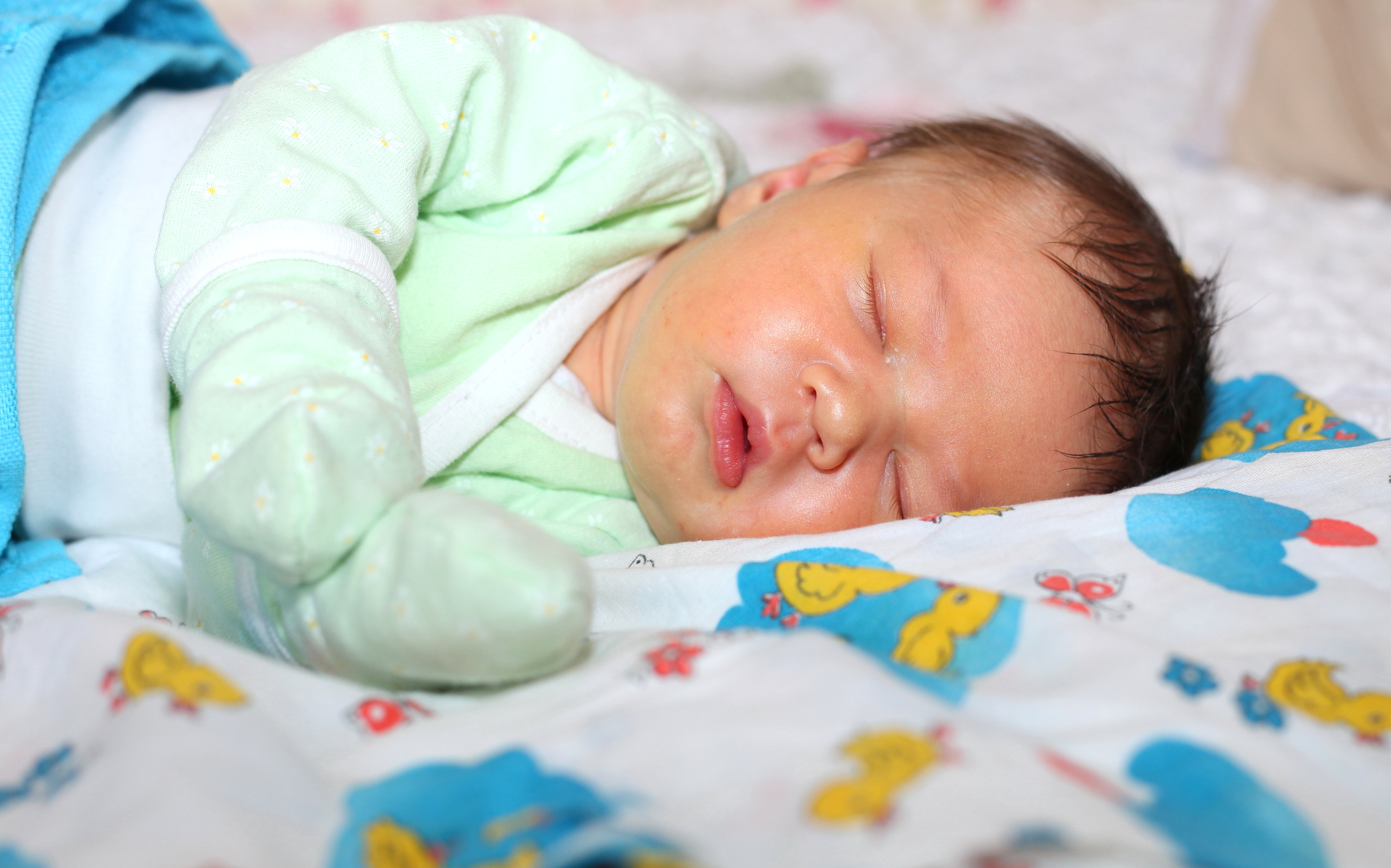 a 6-day old baby boy sleeping, picture 1 out of 2