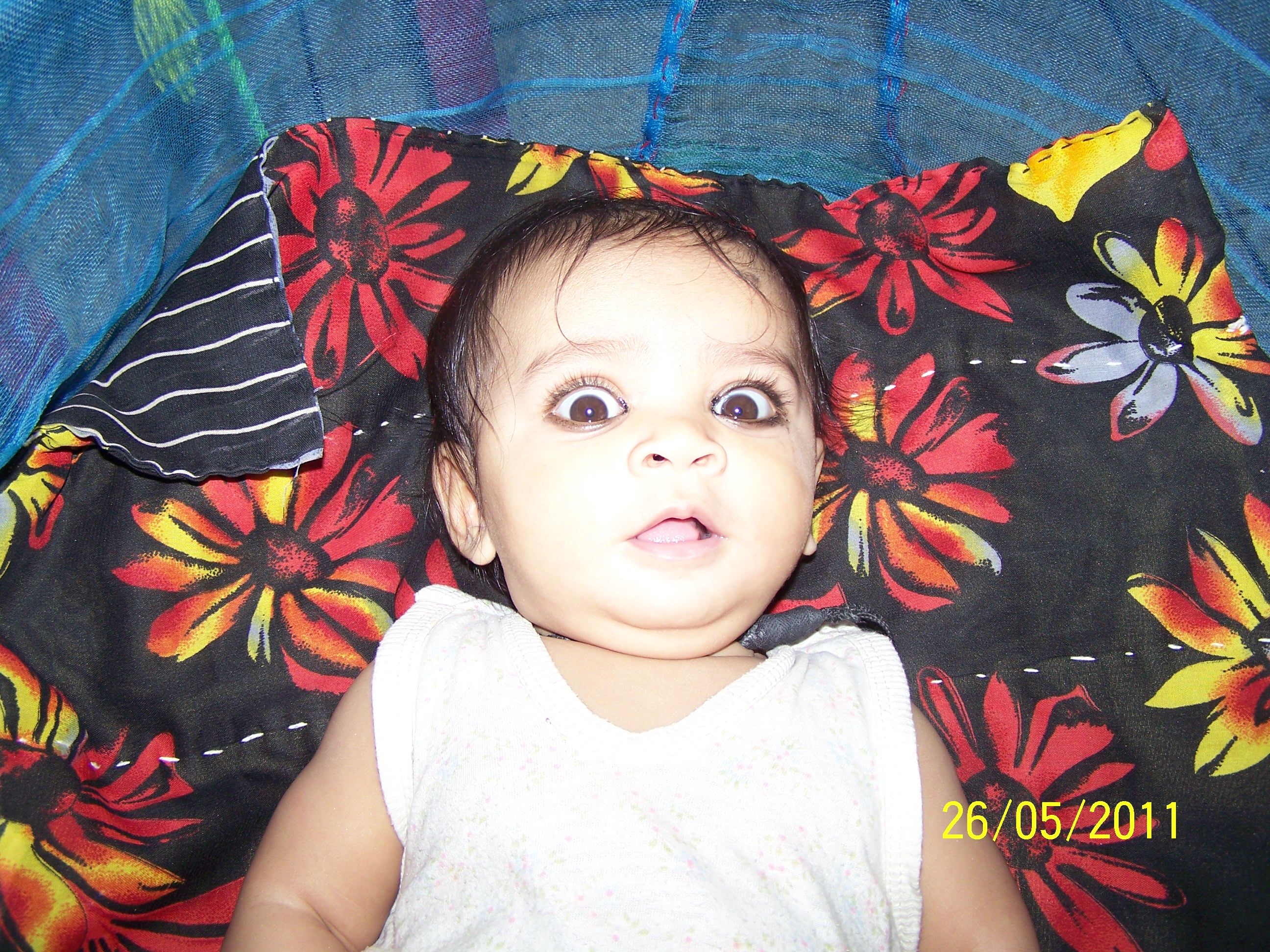 BabyTooCute