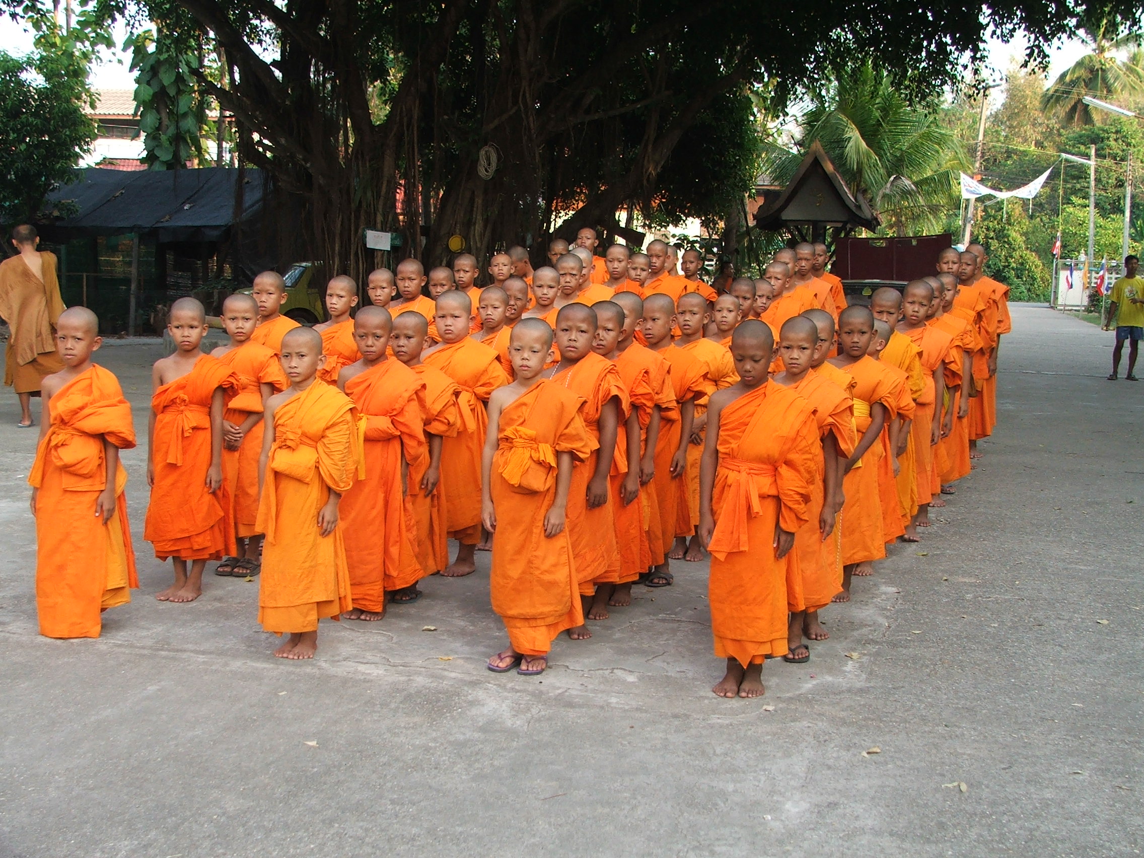 Child monk group