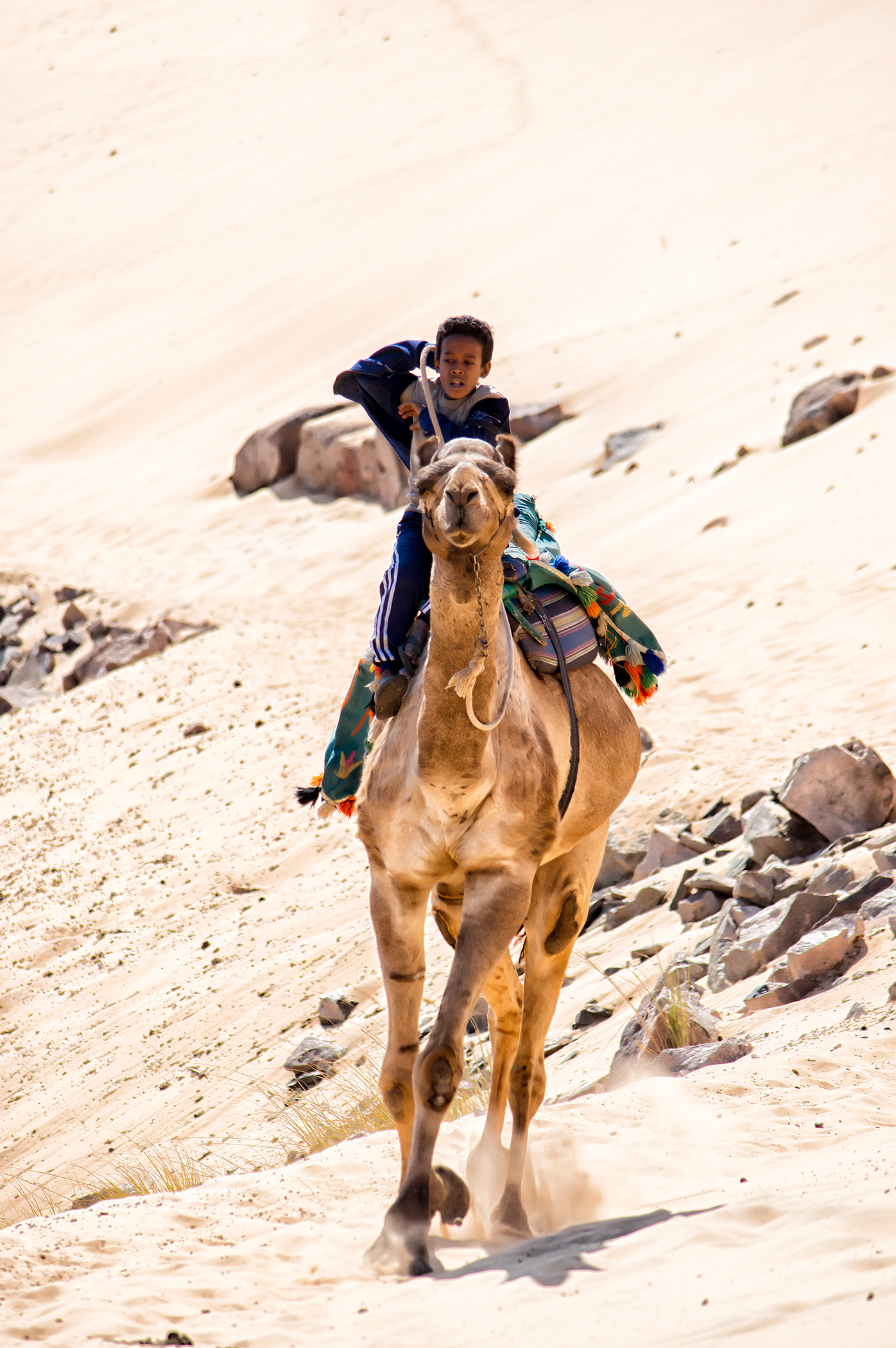 Egypt aswan