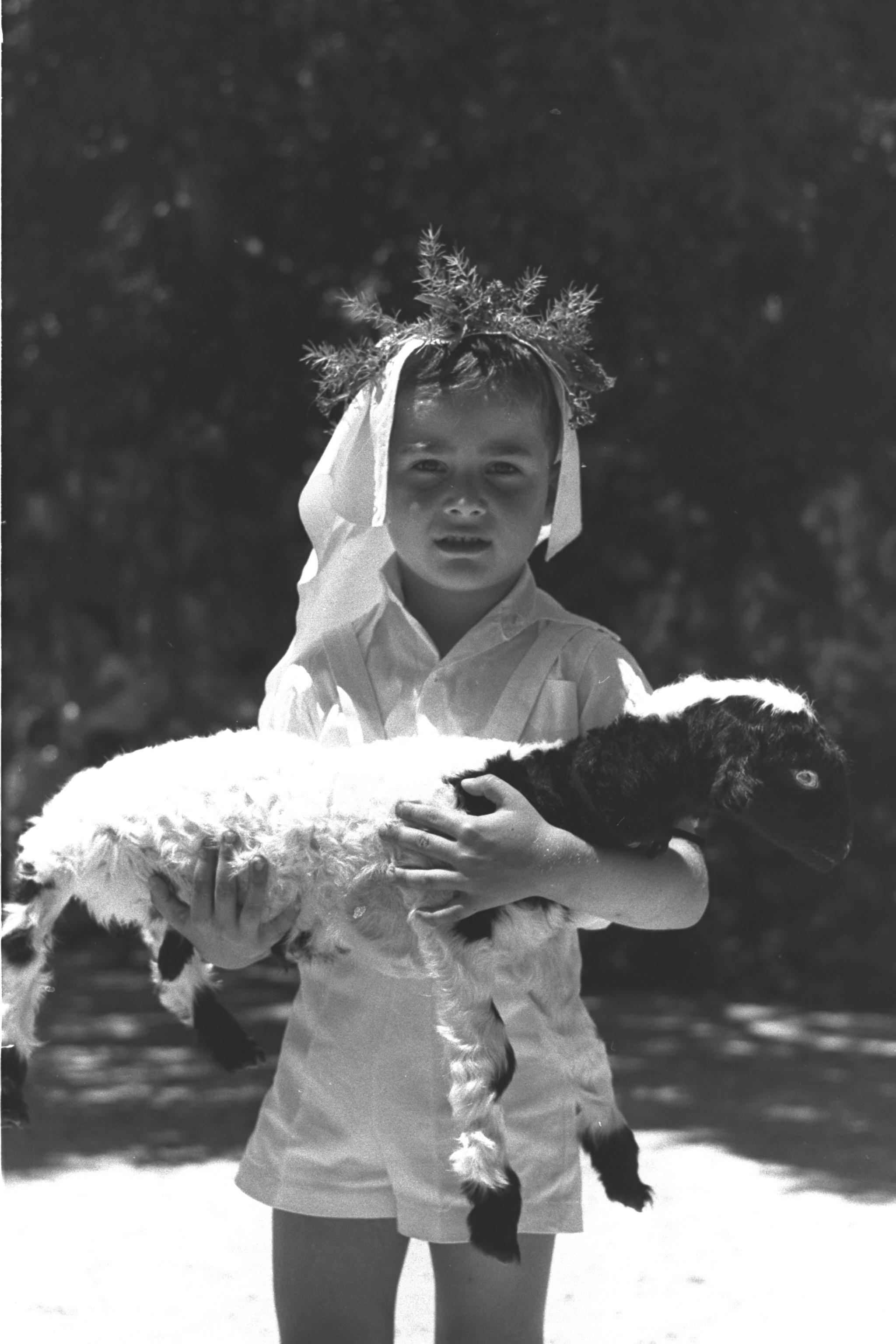 Flickr - Government Press Office (GPO) - A Child Holding a Lamb