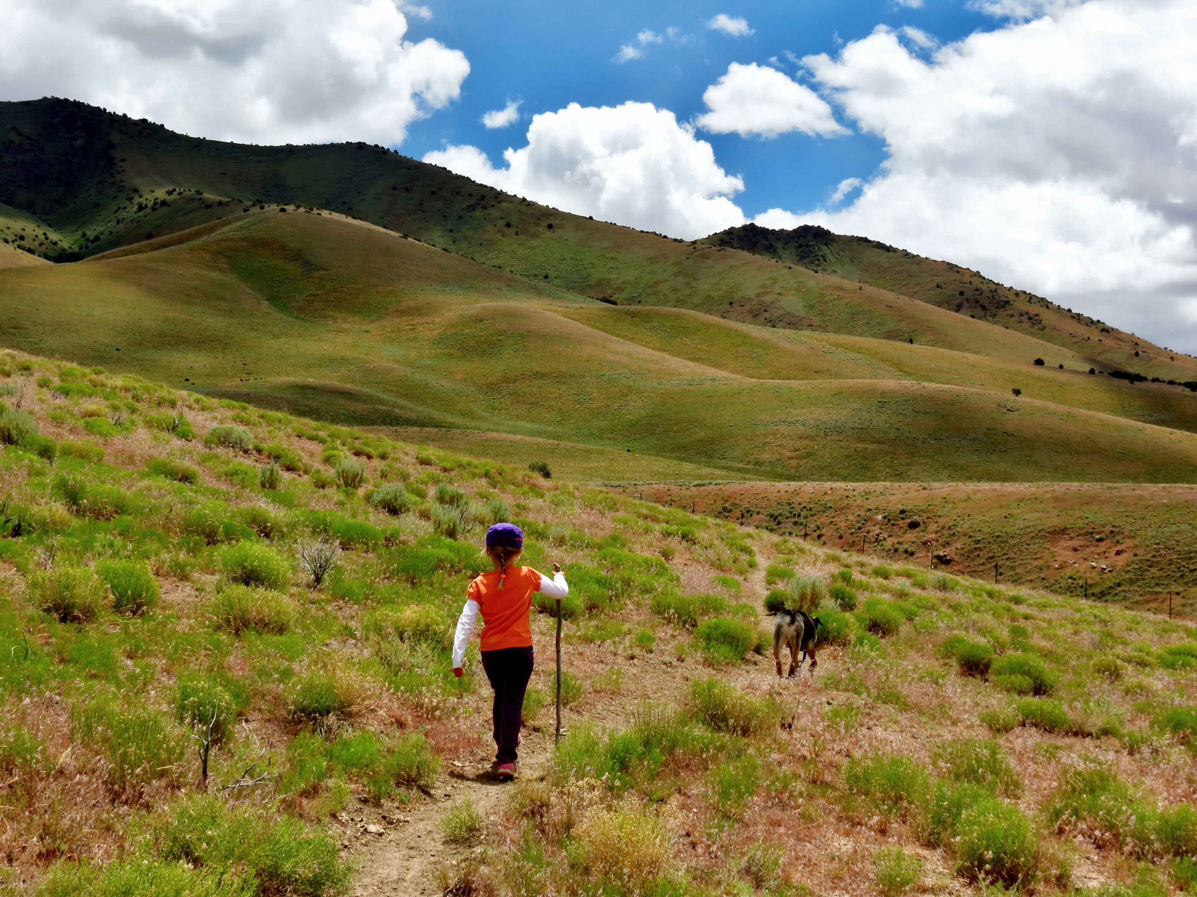 Little Hiker, Winnemucca (19981848951)