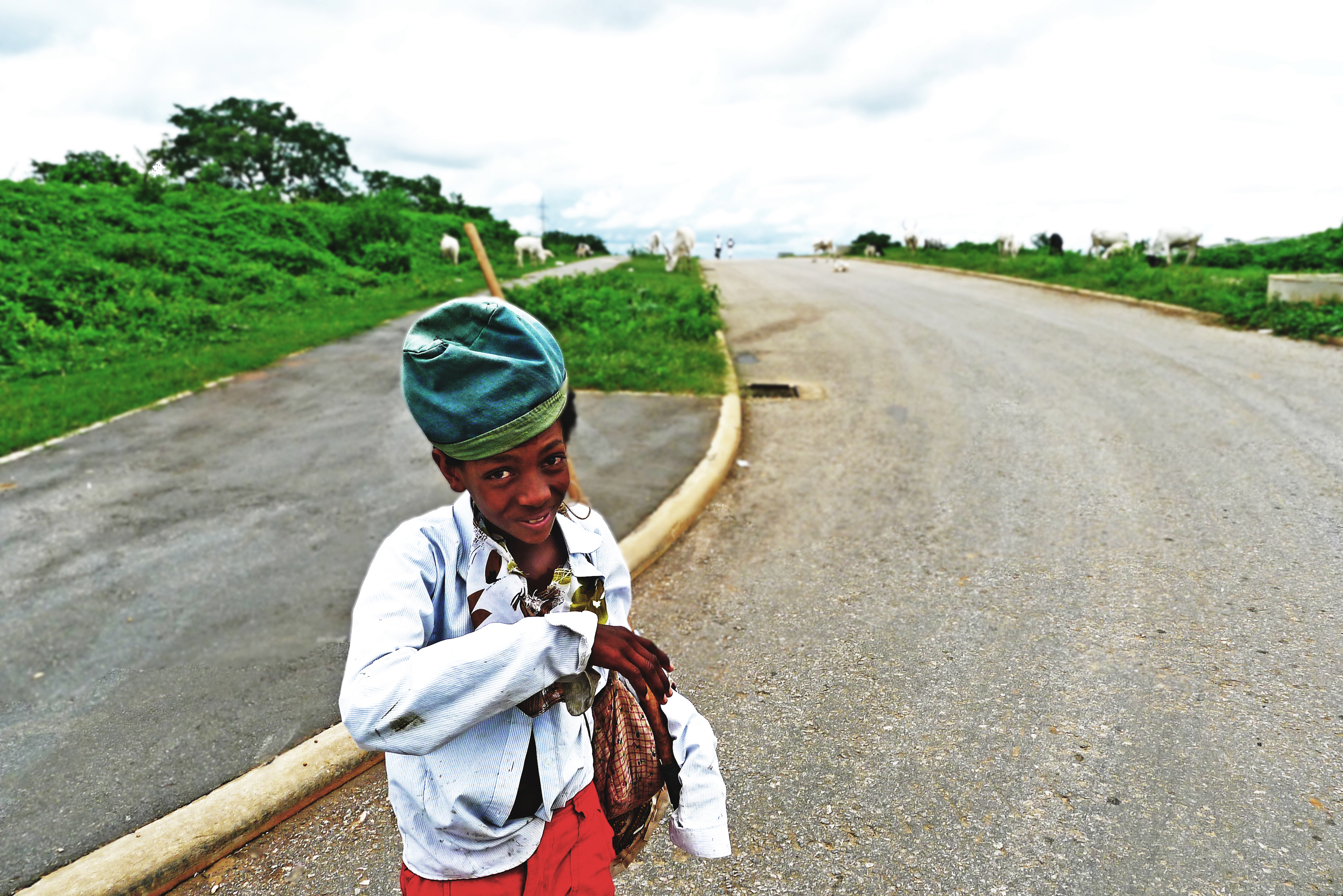 Little shepherd 2