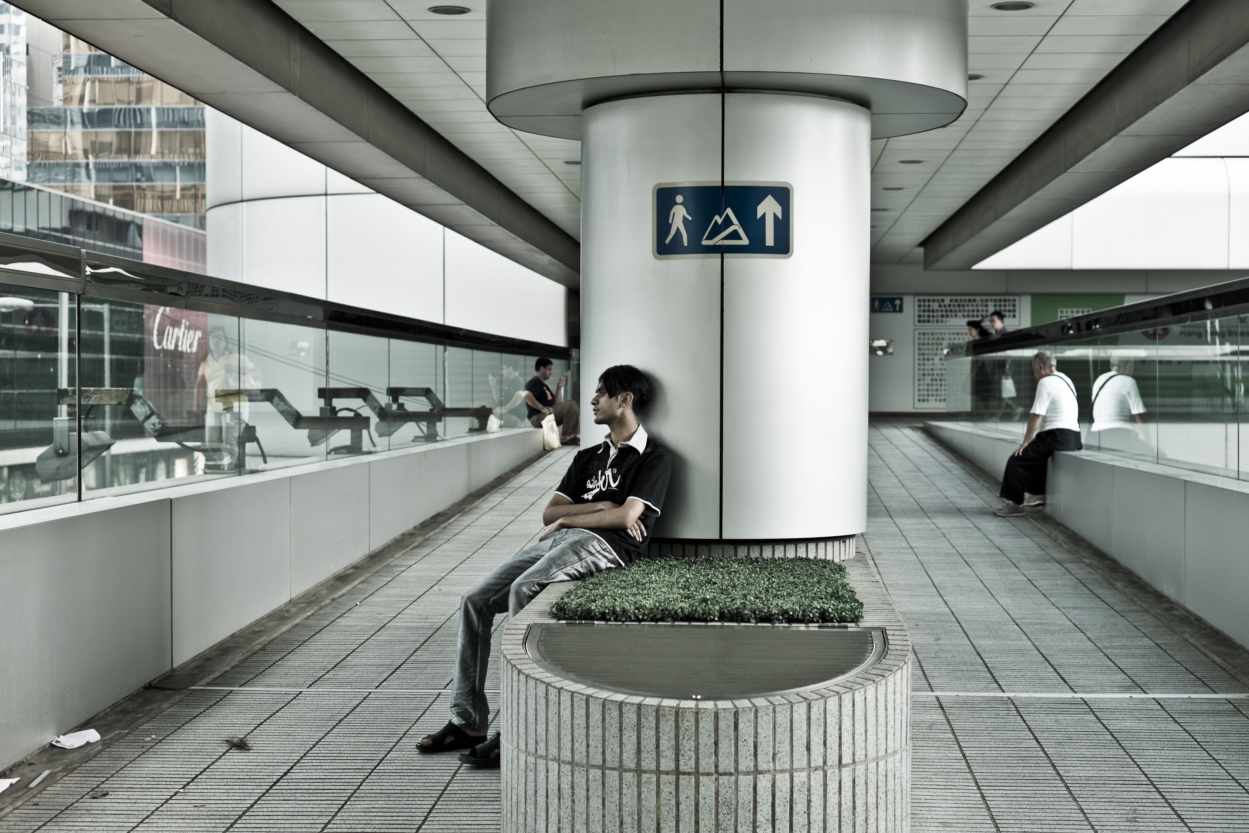 Lonely (6143853923)