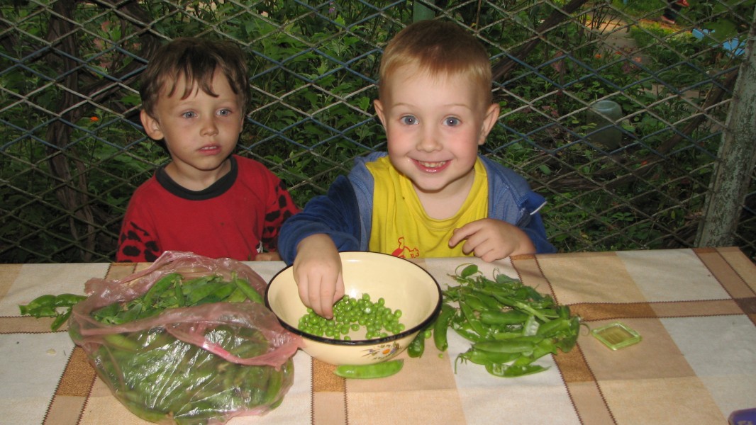 Small boys eating peas