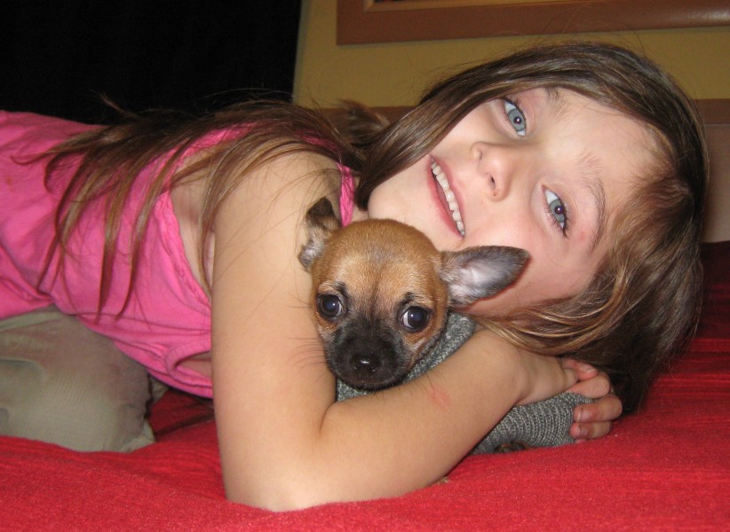 little girl with her cute puppy dog