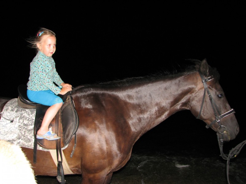 A small girl on a horse