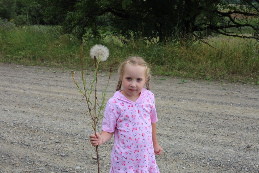A child girl with a blowball