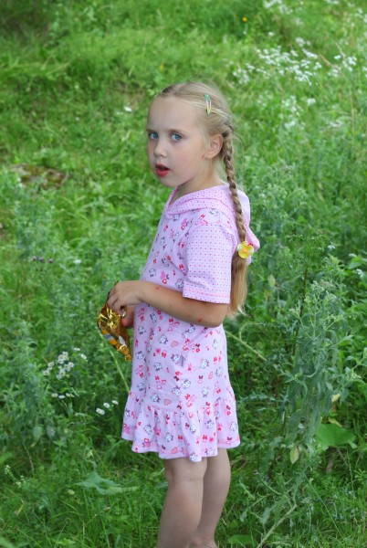 A blond blue-eyed child girl with a plait, in nature.