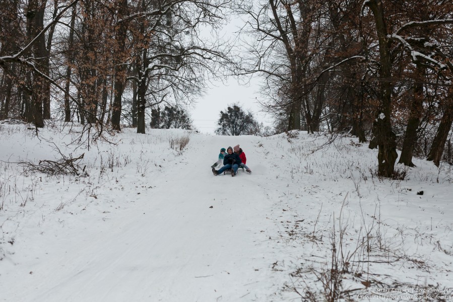 children sledding in Rivne region of Ukraine in January 2019, picture 1