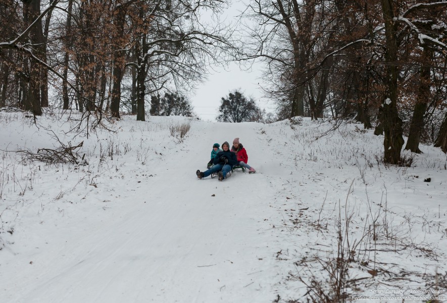 children sledding in Rivne region of Ukraine in January 2019, picture 2