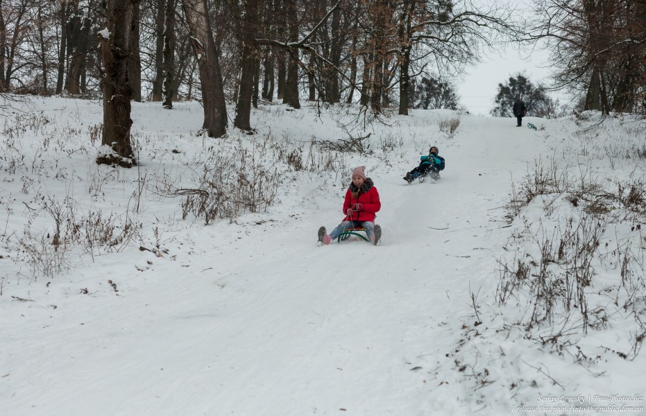 children sledding in Rivne region of Ukraine in January 2019, picture 3