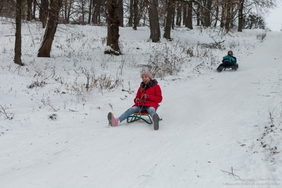 children sledding in Rivne region of Ukraine in January 2019, picture 4