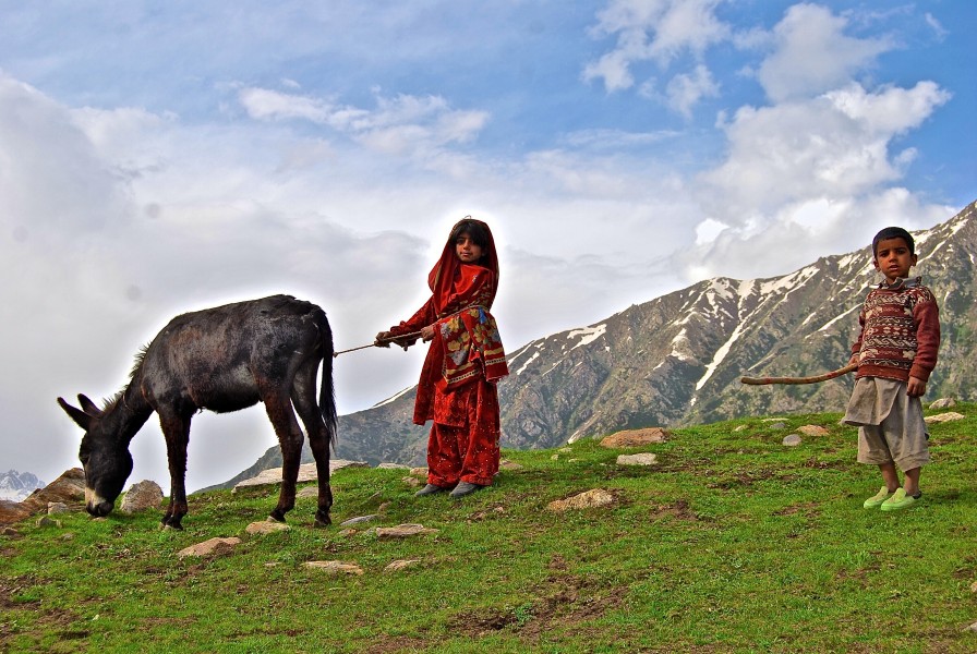 Children with donkey in Kaghan 8th July 2009