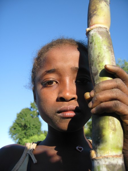 Malagasy child with sugar cane