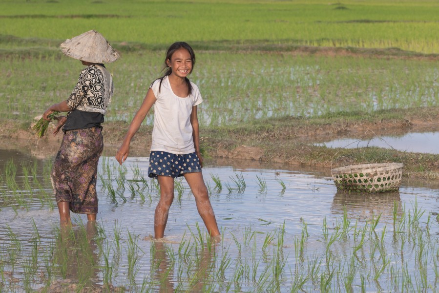 Smiling girl in the rice fields with her grandmother in Laos