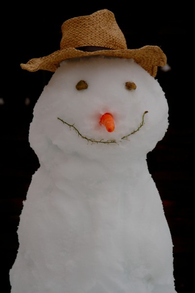 Snowman-20100106