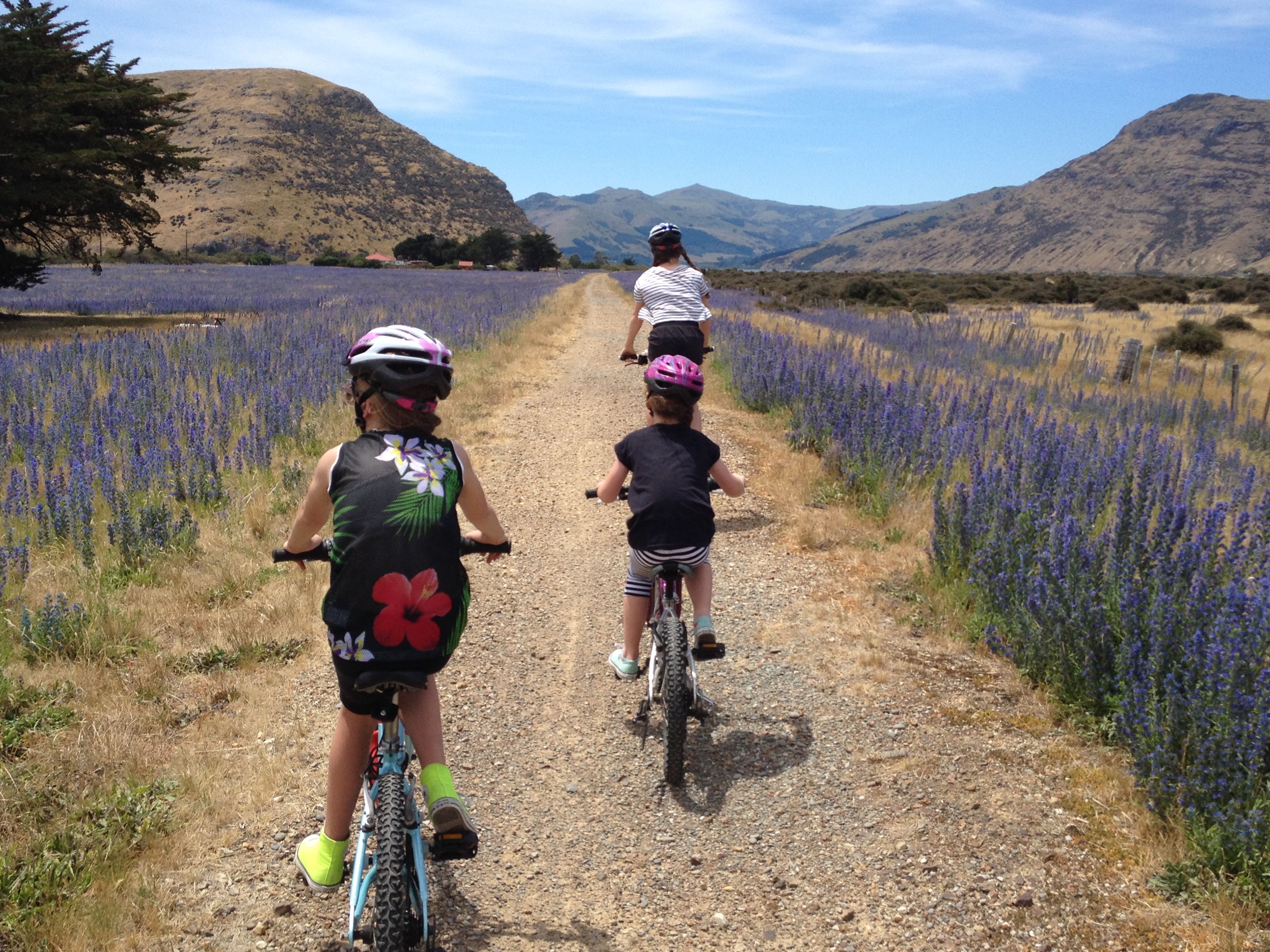 Rail trail bikers