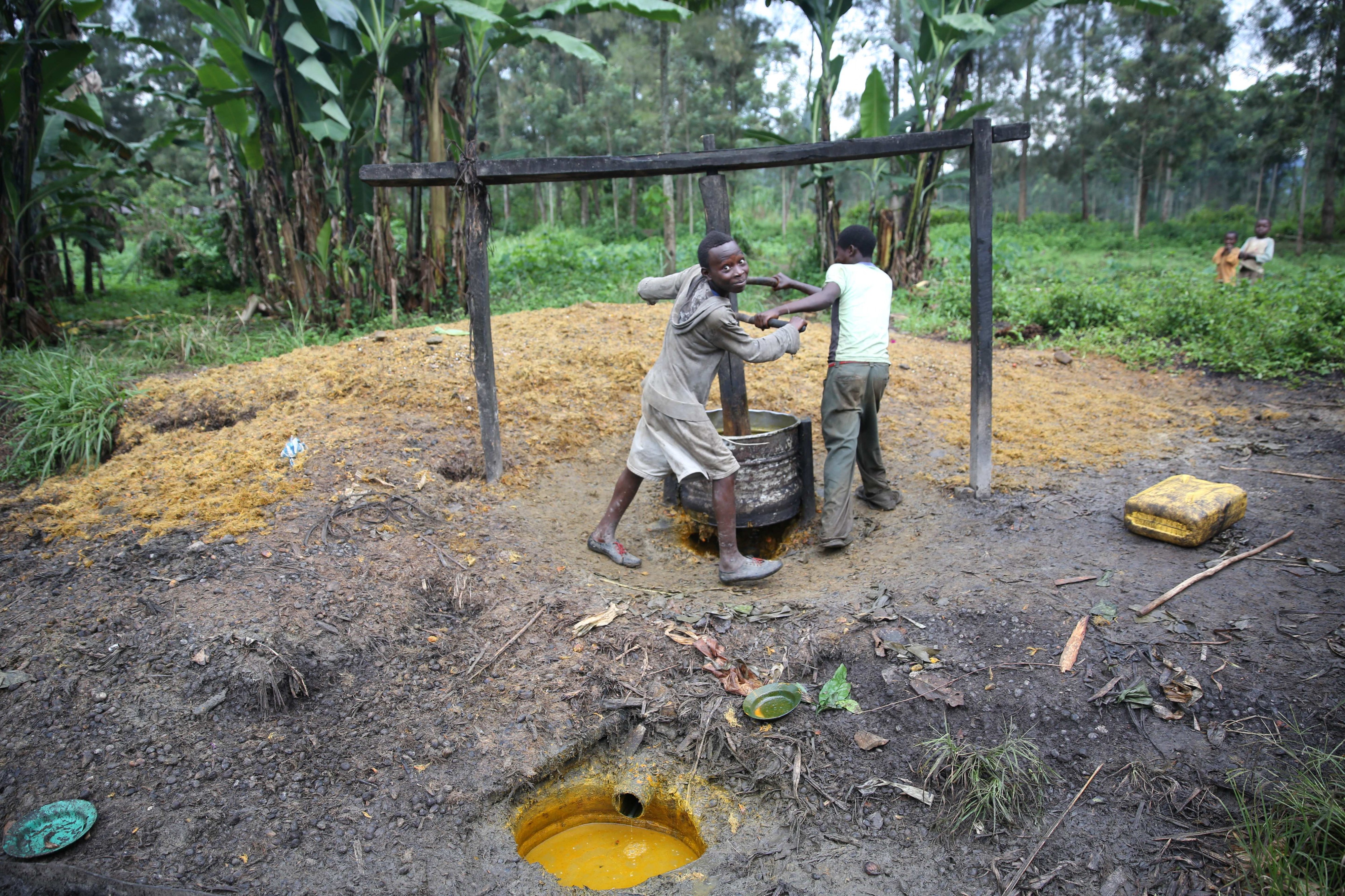 9 avril 2015 - Kihito - Nord Kivu – RD Congo. Deux jeunes hommes préparent de l’huile de palme artisanale (17236421776)