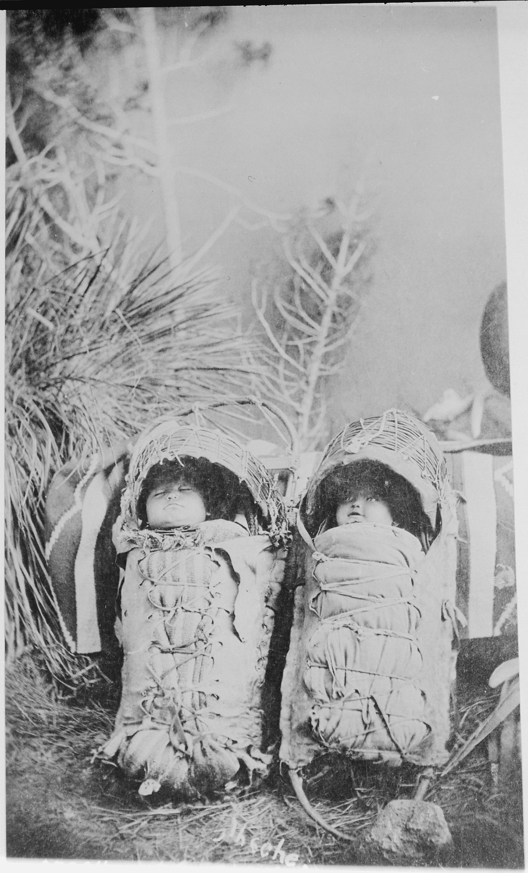 Two Apache babies on cradleboards - NARA - 530904