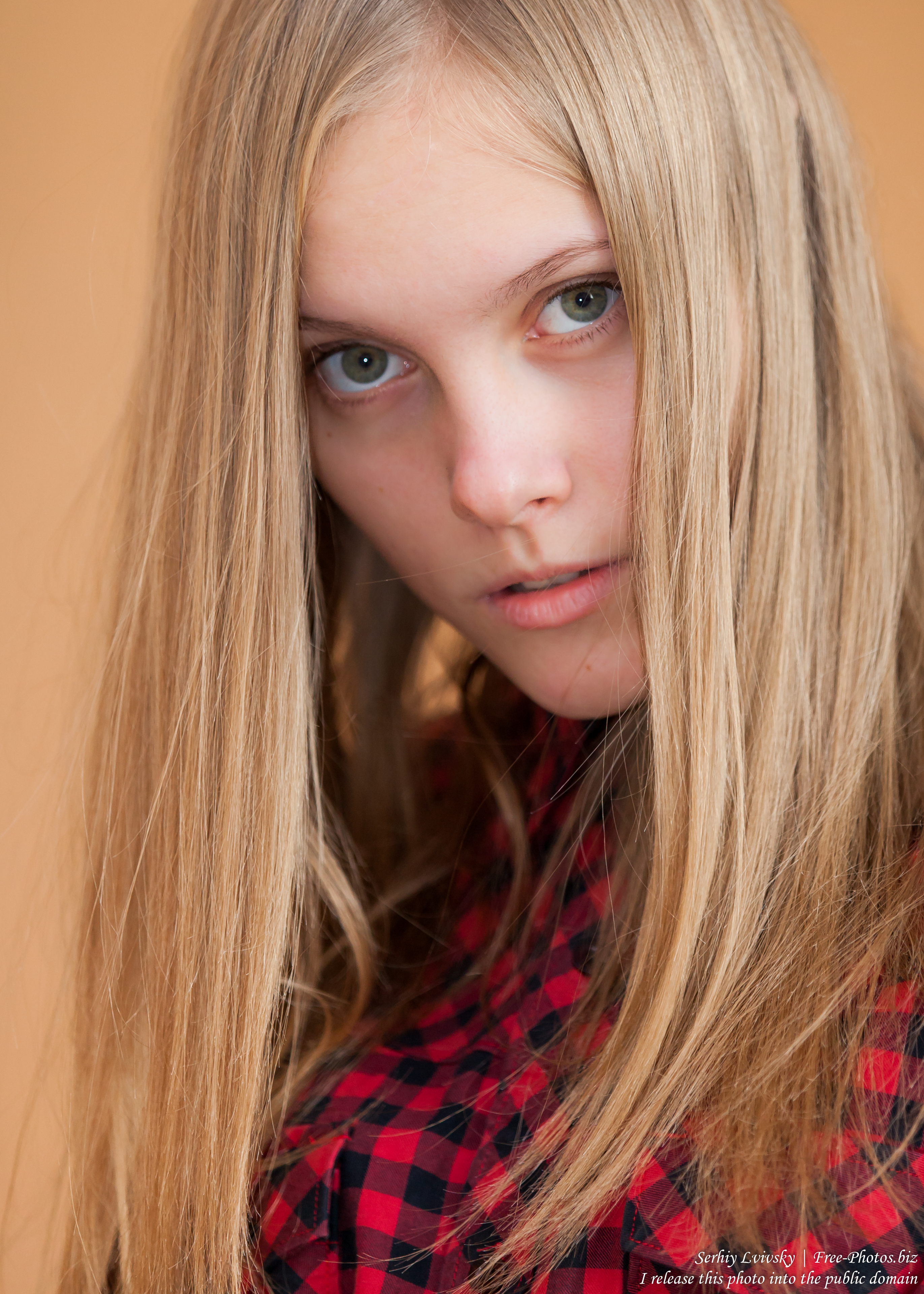 a 15-year-old blond girl photographed by Serhiy Lvivsky in November 2015, picture 1