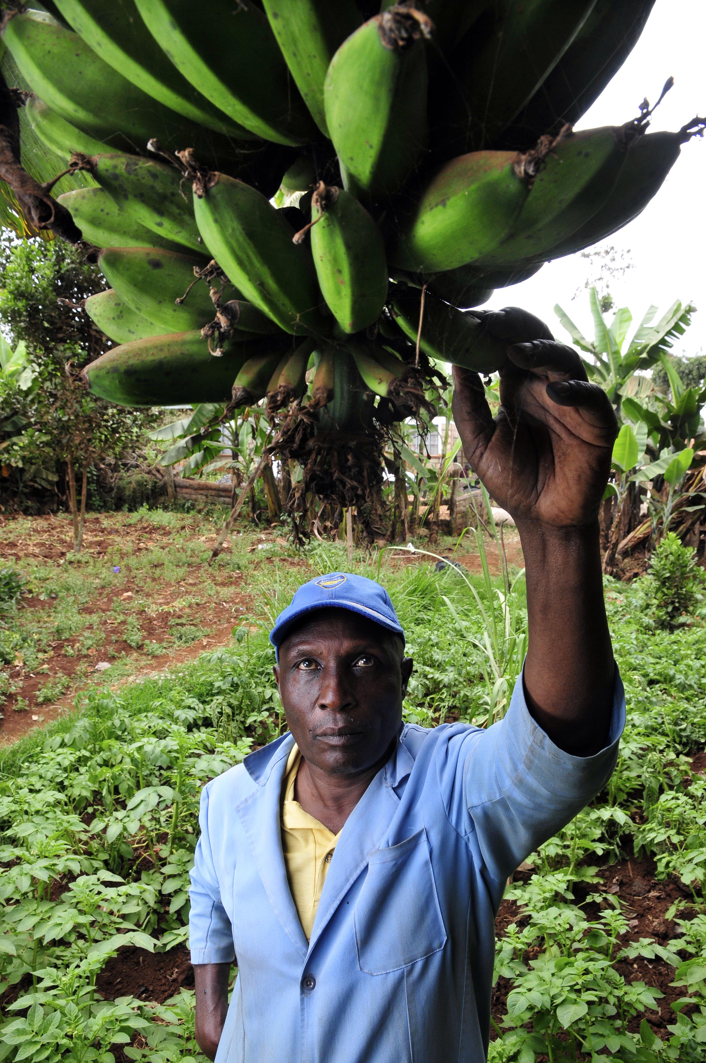 2DU Kenya26 (5366726561)