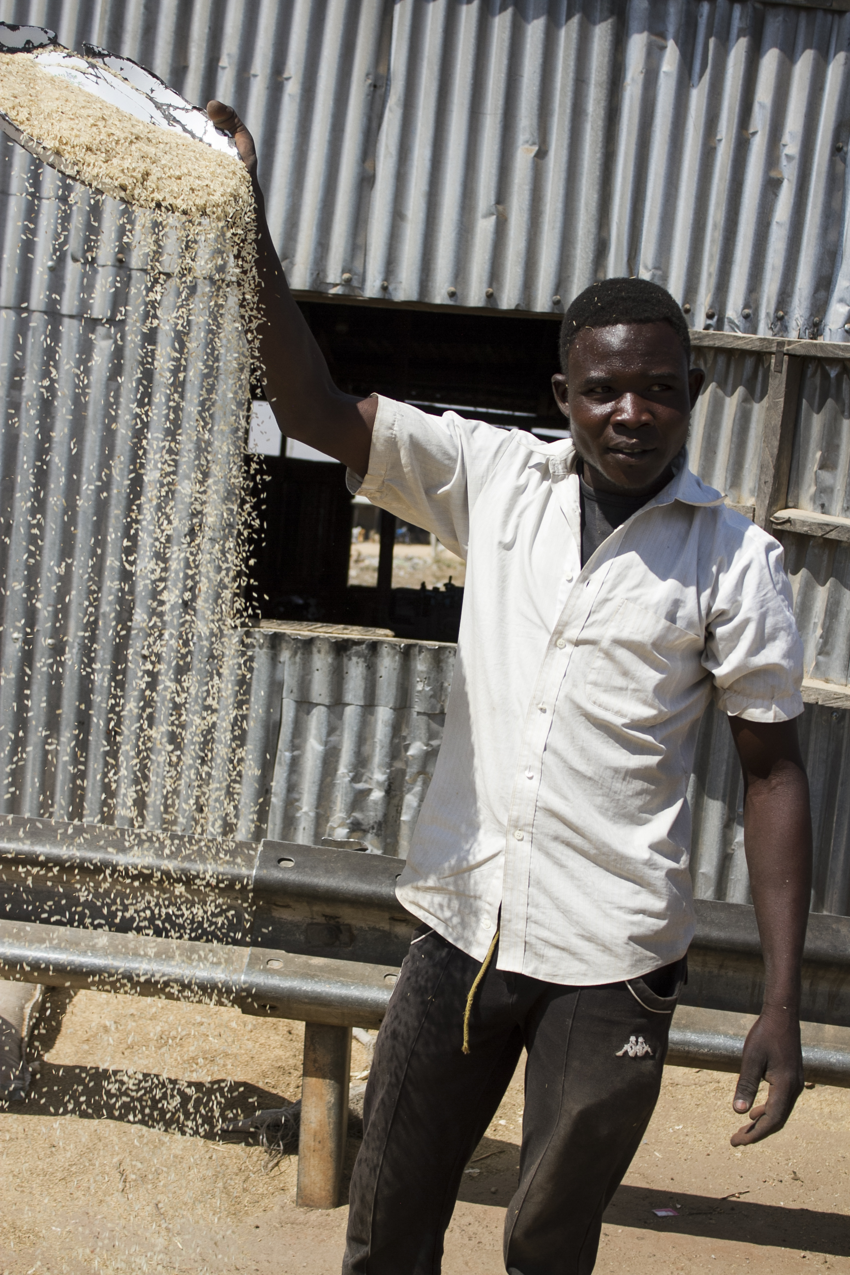 A man removes chaff from rice